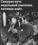 1751195247_3.jpg