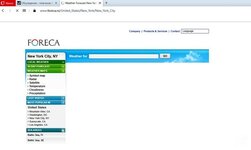 foreca.nz.jpg