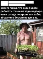 1750877761_5.jpg