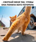 25D0j2i9N.jpg