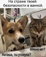 1751196151_11.jpg