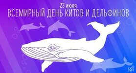 den-kitov.jpg