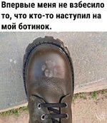 1752169769_2.jpg