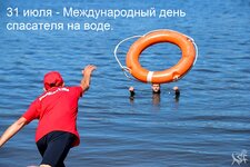 sivo-56.jpg