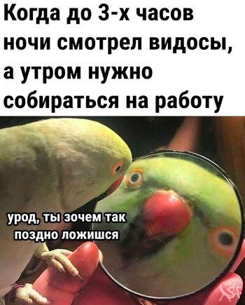 Смотрел видосы.jpg