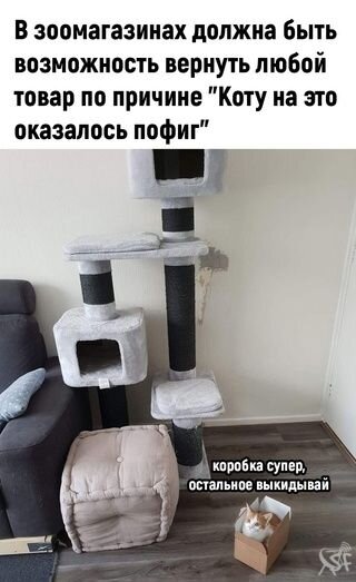 Коту пофиг.jpg