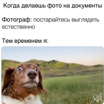 Фото на док.jpg