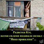 1754272520157.png