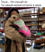 1753263569_1.jpg