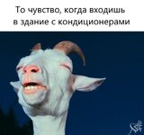 1753302768_1.jpg