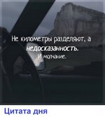 2925_y.jpg