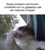 1755055631113.png