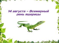Y41FNE2IQwqZvEge5L3qFLGZLr19znDODYgaxSw_Sfg3cWmdycZ7q4mOwqODenVsIjImFzybAlv2NrQBCt3RceIg.jpg