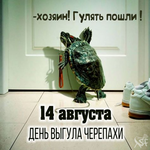 1755137498449.png