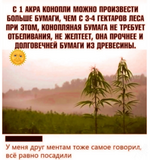 1755485916431.png