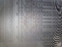 20250823_131422.jpg