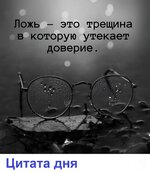 3019_y.jpg