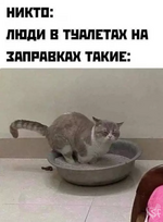 1756348977990.png