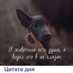 0702_y.jpg