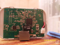 SNV80030.jpg