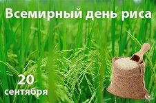 pictur-klev-club-ee6u-p-kartinki-vsemirnii-den-risa-20-sentyabrya-2.jpg