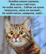 1758515596518.png
