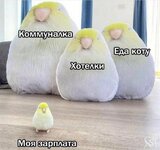 1755703048.jpg
