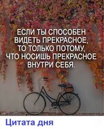 81_y.jpg