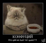 1759548097483.png