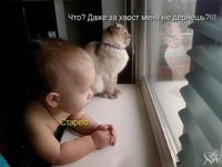 1759548135530.png