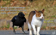 1759633564297.png