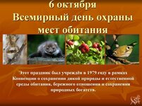 6-oktyabrya-Vsemirnyj-den-ohrany-mest-obitanij017.jpg