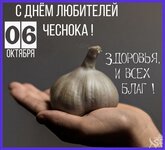 94ad6a2.jpg