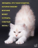 1759737071235.png