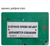 175873331.jpg