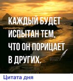 935_y.jpg