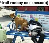 1760271175.jpg