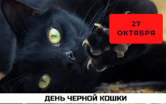 hisla-32.png hisla-32.png