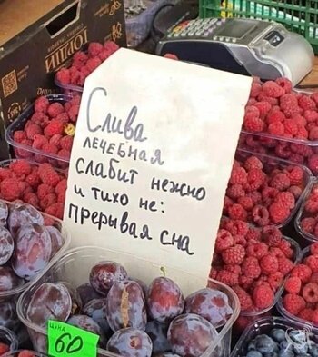 Слива.jpg